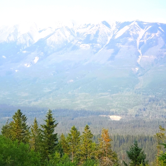 Meet your Posher, RW - Picture 1 of 2